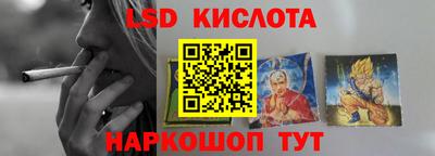 гидра Новодвинск