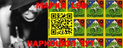 гидра Новозыбков