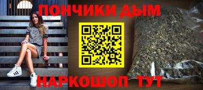 гидра Новозыбков