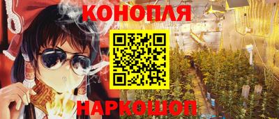 гидра Новозыбков