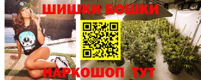 гидра Новозыбков
