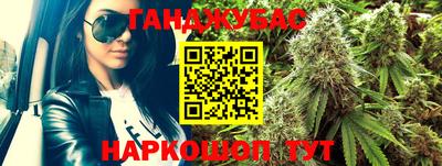 гидра Новодвинск