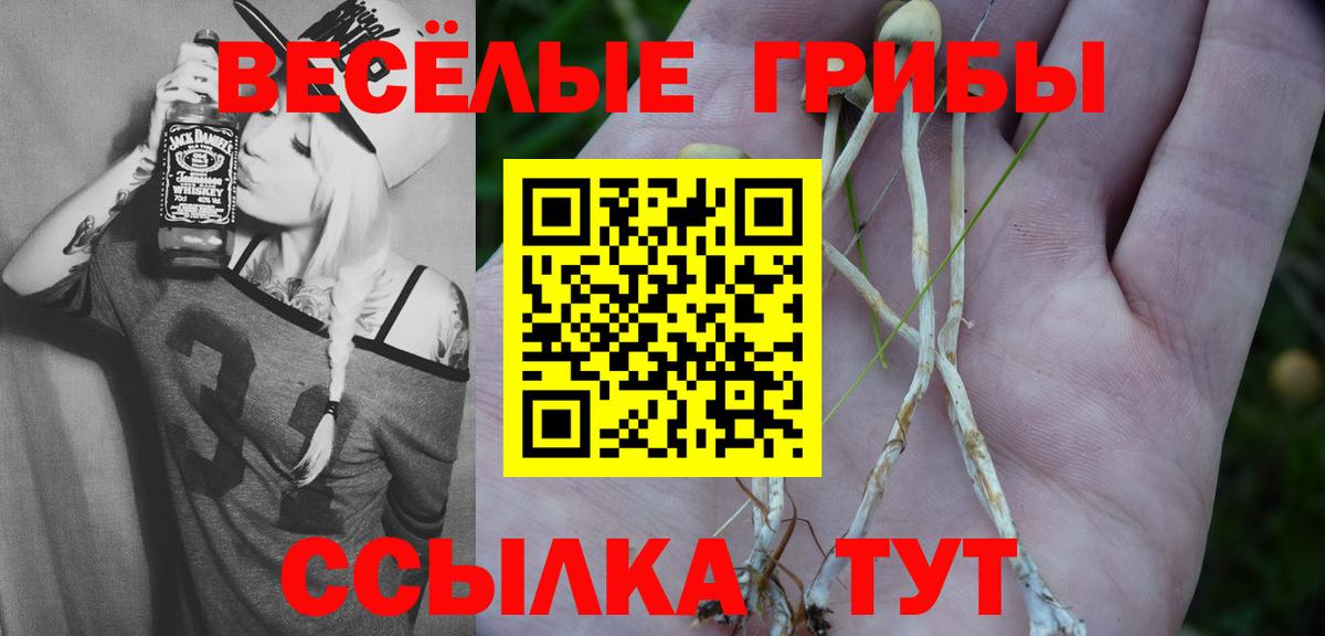 Псилоцибиновые грибы Cubensis Старая Русса