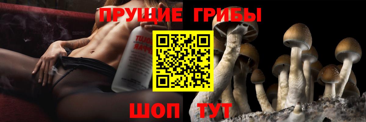 наркошоп  Галлюциногенные грибы MAGIC MUSHROOMS  Вход с VPN  Старая Русса 
